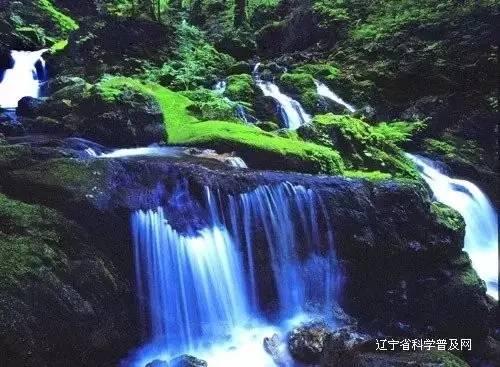 探索知识星球有很多大宝特别抵触二宝的到来,这是什么原因导致的?,汲取知识的乐园